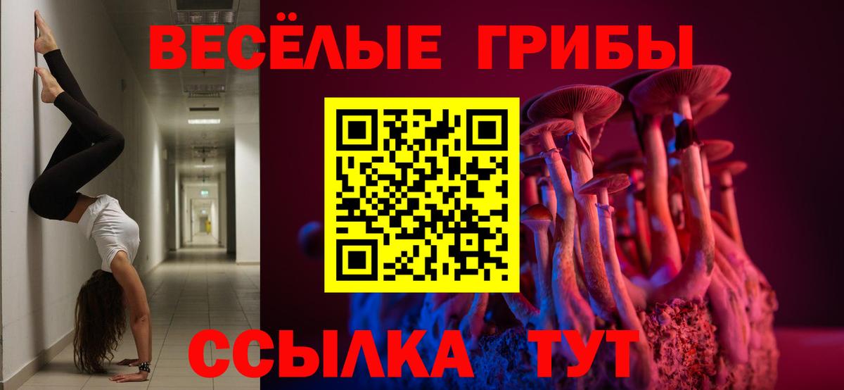 Псилоцибиновые грибы MAGIC MUSHROOMS  где найти наркотики  Кузнецк  Вход с VPN 